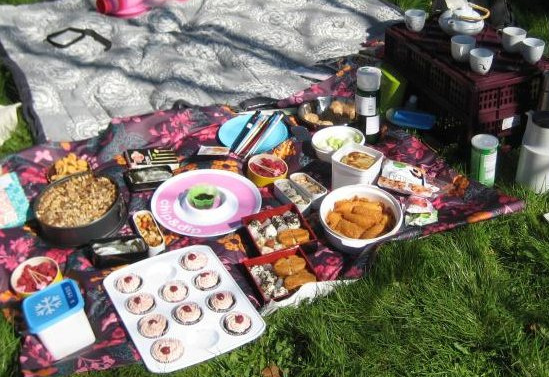 Hanami, bento boxes, picnic